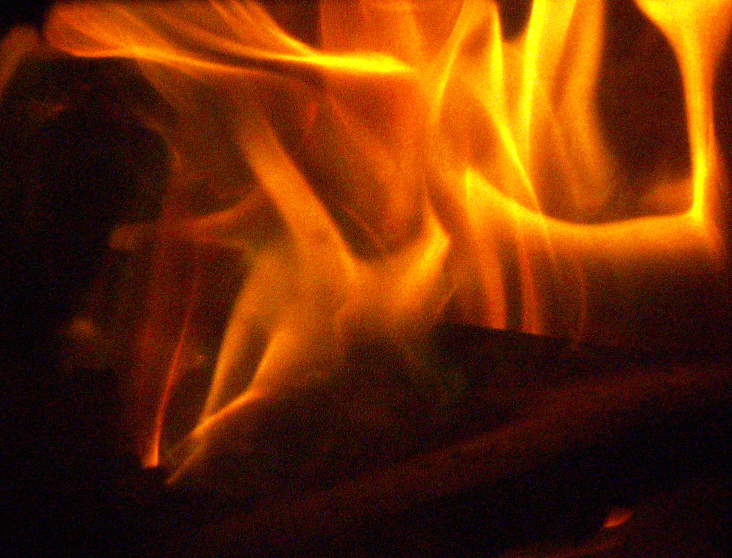 The Environment - Flame Photos